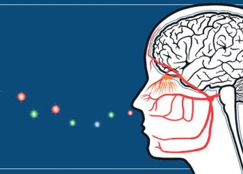 KO IZGUBI ČULO MIRISA, IMA ANTITELA NA KORONU: Ovo je jedno od najvećih otkrića u KROĆENU KOVIDA 19! Oboleli se dele na DVE GRUPE!