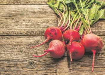 Doktorka iz Hitne pomoći otkriva: Ovo je spisak namirnica koje treba da jedete ZA JAK IMUNITET, JEDNA JE PRAVO ČUDO