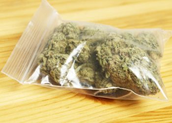 Rožajska policija uhapsila Beranca: Pored vozila pronađeno 300 grama marihuane