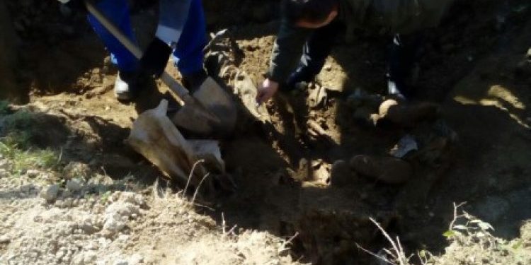 Na području Srebrenice otkrivena masovna grobnica
