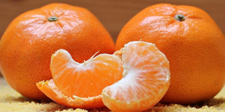 OVO SU RAZLOZI ZBOG KOJIH BI SVAKODNEVNO TREBALI JESTI MANDARINE