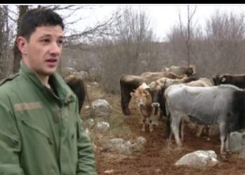 ON se vratio iz Nemačke na selo: OSTAVIO platu od 3.000 evra DA BUDE ČOBAN! (FOTO)