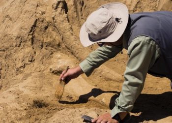 SVE OČI UPRTE U SRBIJU, ARHEOLOZI U VIMINACIJUMU NA PRAGU SPEKTAKULARNOG OTKRIĆA! Istorija Rimskog carstva neće biti ista!