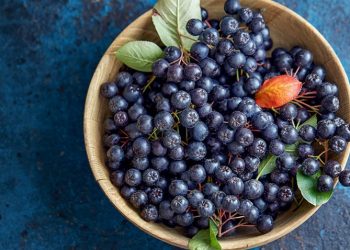 Njemačka pronašla prirodnog ubicu koronavirusa Covid-19!