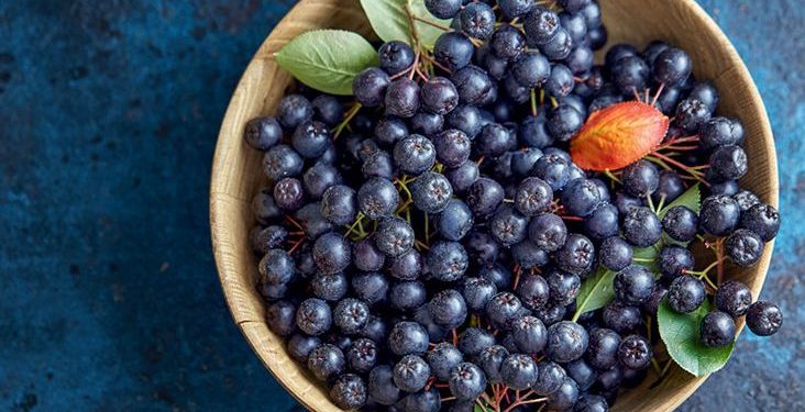 Njemačka pronašla prirodnog ubicu koronavirusa Covid-19!