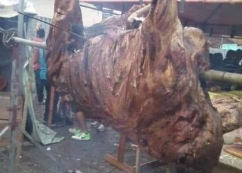 OBAVEZNO PROČITAJ – POUČNA PRIČA….