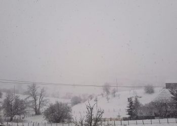 (VIDEO) Pao prvi sneg na Pešter