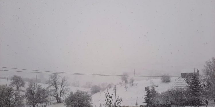 (VIDEO) Pao prvi sneg na Pešter