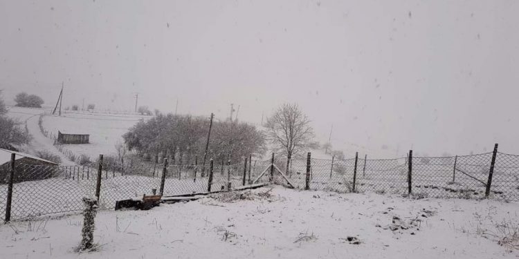 (VIDEO) Pao prvi sneg na Pešter