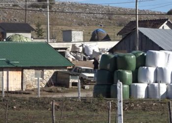 (VIDEO) Teška godina za pešterske poljoprivrednike
