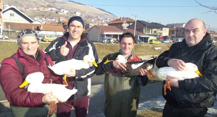 Herkules vredniji od mercedesa