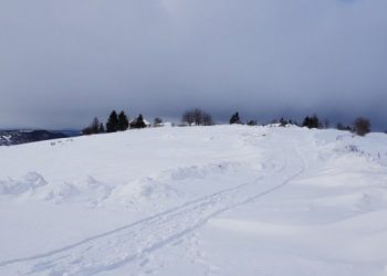 Pešter danas 20.01.2021.(VIDEO)