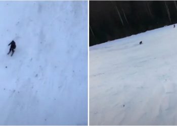 (VIDEO) MEDVED IZ SVE SNAGE JURIO SKIJAŠA U RUMUNIJI: Jednim domišljatim potezom uspeo da se otarasi zveri