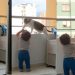 Snimak mačke koja ne da djetetu da se popne na ogradu balkona oduševio milione