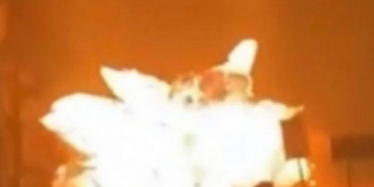 Holandija Na Rubu Katastrofe, Demonstracije Prerasle U Nerede: Više Policajaca Je Povrijeđeno, Sve Gori