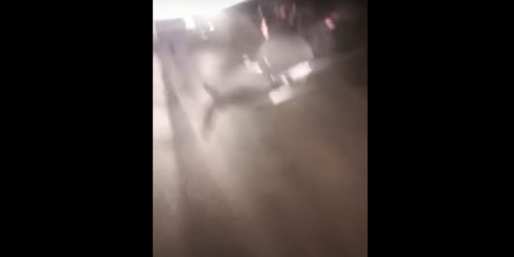 ŠOKANTAN SNIMAK KRUŽI DRUŠTVENIM MREŽAMA: Zbog ovoga od jutros hitno zasjeda MUP USK (UZNEMIRUJUĆI SADRŽAJ)