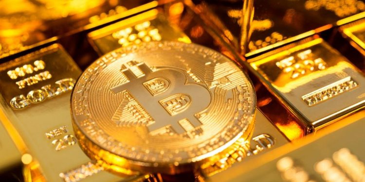 Dobio je BITKOINE NA POKLON, sada mu novčići vrede 240 miliona $, ali je Stefan izgubio šifru i tu je početak njegove NEVEROVATNE PRIČE