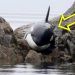 VIDEO: Kit je danima cvilio jer je bio zaglavljen između stijena, a kada je ovaj čovjek naišao desilo se ovo…