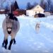 (VIDEO)Konj je izašao da trči po snijegu – Obratite pažnju na reakciju psa