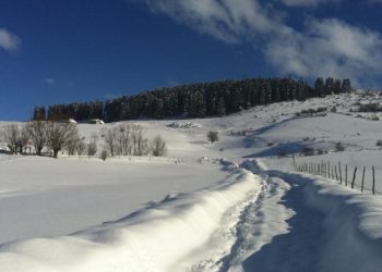 Rukovodstvo Donje Pešteri još jednom pokazalo homanost na djelu