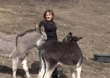 (VIDEO) Ljubav prema životinjama, jača od bogatstva u Njemačkoj