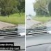 ŠOK I NEVJERICA: Bračnom paru iz Australije na automobil skočila zmija