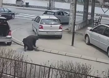 Epilog nesvakidašnje krađe u Prijepolju: Muškarac ukrao ivičnjak, pa ga vratio (Foto )