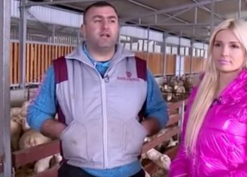 (VIDEO) DALIBOR IMA VIŠE OD 1000 OVACA I ŽENU ZA KOJOM SE SVI OKREĆU: Nudi dobro plaćen posao!
