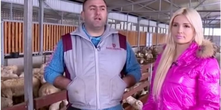 (VIDEO) DALIBOR IMA VIŠE OD 1000 OVACA I ŽENU ZA KOJOM SE SVI OKREĆU: Nudi dobro plaćen posao!