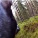 (VIDEO) Pas u lovu nabasao na dva krvoločna vuka i neizbježnu herojsku borbu snimio kamerom