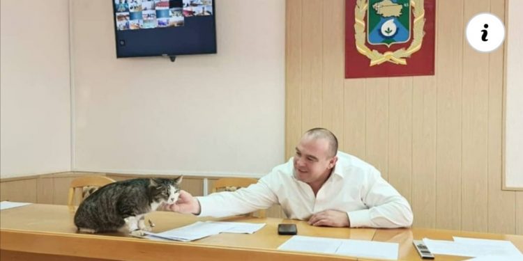 Mačak koji 2 godine radi u opštini i uvek prisutan na sastancima