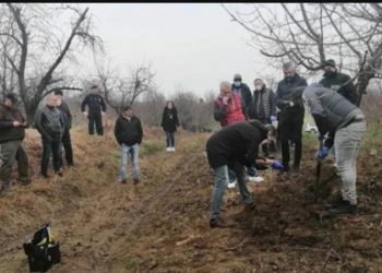 PRONAĐENA LOBANJA U BUNARU! Velja i ekipa mučili Goksija 5 dana, odrubili mu GLAVU, pa sliku poslali njegovom šefu?!