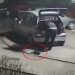 Krađa ivičnjaka u Prijepolju (Video)