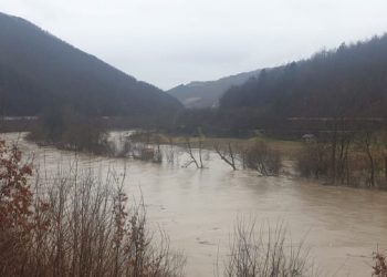 Prijepolje / Izlio se Lim: Poplavljeno na desetine hektara poljoprivrednog zemljišta (Video)