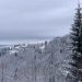 Kopaonik: Veliki broj stabala pao pod teretom snega