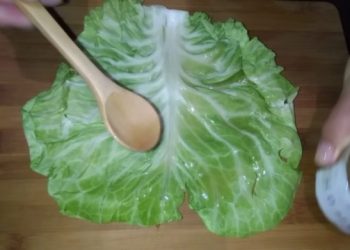 TAJNA LISTA SLATKOG KUPUSA: NE BISTE VJEROVALI ZA ŠTO SE SVE KORISTI OVA ČUDESNA ZELJASTA BILJKA, DONOSIMO RECEPTE