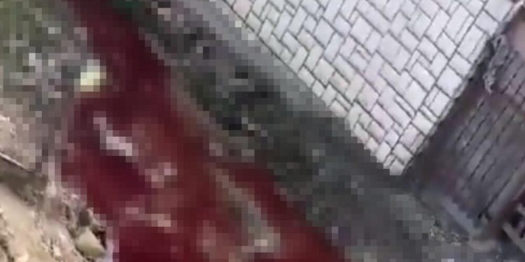 (VIDEO) JEZIVA SCENA U NOVOM PAZARU: Krvava reka teče pored kuća u prigradskom naselju MEŠTANI UZNEMIRENI PRIZOROM