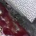 (VIDEO) JEZIVA SCENA U NOVOM PAZARU: Krvava reka teče pored kuća u prigradskom naselju MEŠTANI UZNEMIRENI PRIZOROM