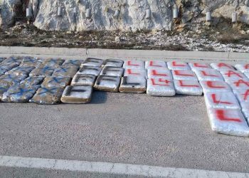 UP: Na graničnom prelazu Ilino brdo zaplijenjeno 150 kilograma skanka, uhapšen vozač