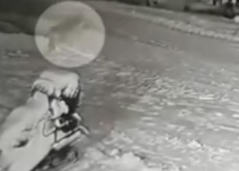 (VIDEO) Žrtvovao svoj za život deteta: Pas spasao dečaka od vuka