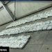 Podgorica: U hladnjači pronađeno 220 kg droge, vozač pobjegao (VIDEO)