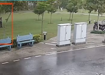 (VIDEO) Četiri Indijca su se skrila ispod stabla od kiše, onda je u njega udario grom