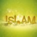 Islam je došao da sačuva pet univerzalnih vrijednosti: vjeru, život, čast, imetak i razum