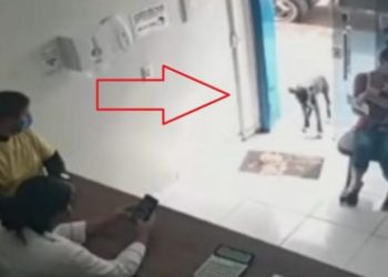 (VIDEO) PAS LUTALICA SAM UŠAO KOD VETERINARA, PODIGAO ŠAPU I POKAZAO GDJE BOLI: Nevjerovatna priča koju milioni gledaju u nevjerici