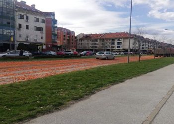 VIDEO, FOTO: Gomila šargarepa se prosula po Bulevaru kneza Miloša, ispale iz kamiona