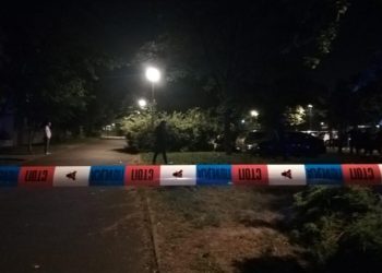 PUCNJAVA U SJENICI! Uhapšen napadač