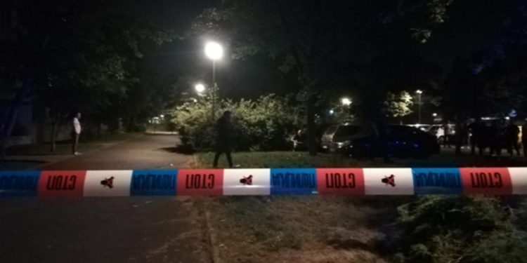 PUCNJAVA U SJENICI! Uhapšen napadač