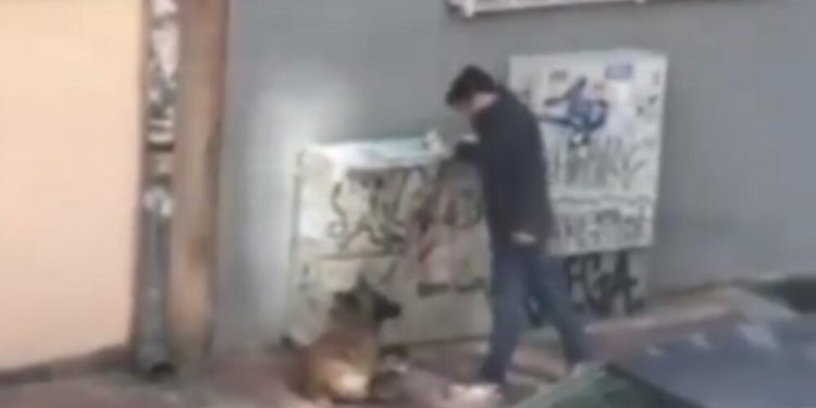 (VIDEO) Uhapšen muškarac koji je brutalno šutirao psa!