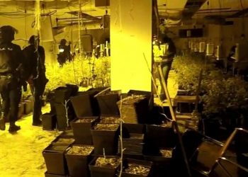 ŠPANIJA: Uhapšeni Srbi sa 132 kilograma marihuane