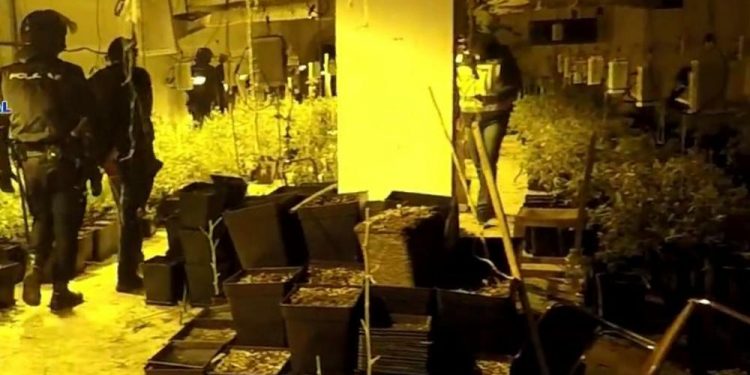 ŠPANIJA: Uhapšeni Srbi sa 132 kilograma marihuane